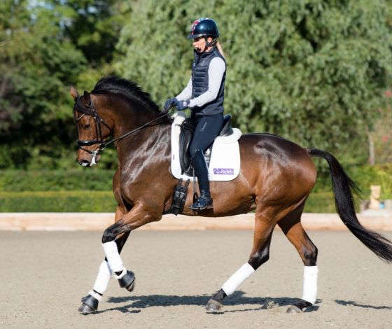 How-To-Canter-Charlotte-Dujardin