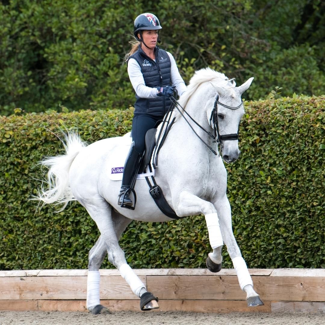 Clicker training for dressage horses