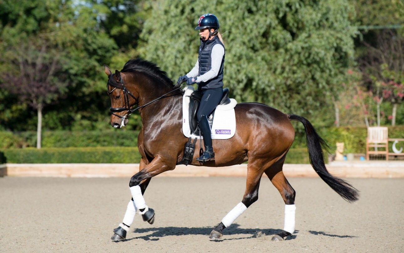 How-To-Canter-Charlotte-Dujardin