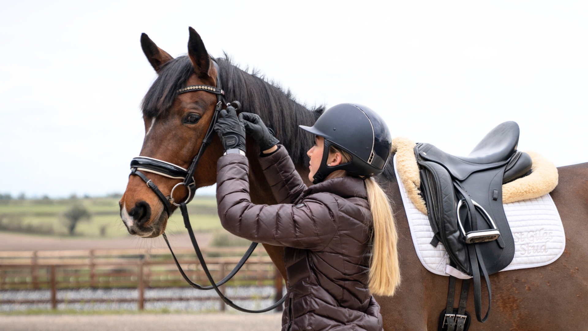 How to Ride a Lazy Horse 9 Tips to Improve the Responsiveness of Your