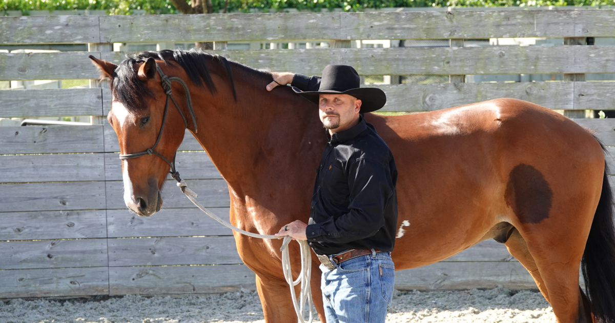 How to Lunge Your Horse on a Lunge Line Ridely