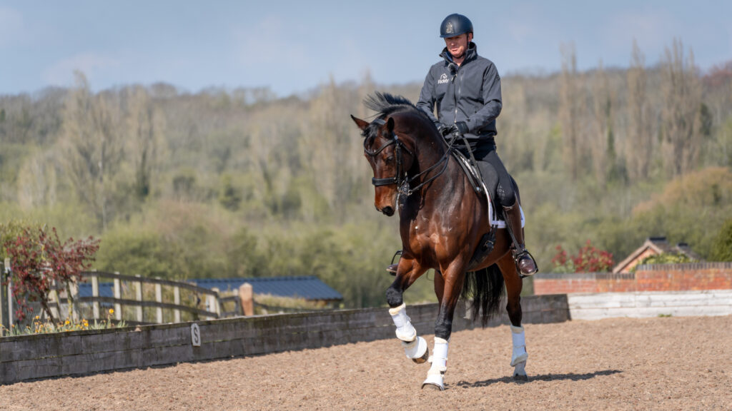 How to Ride Canter Half Pass - Ridely
