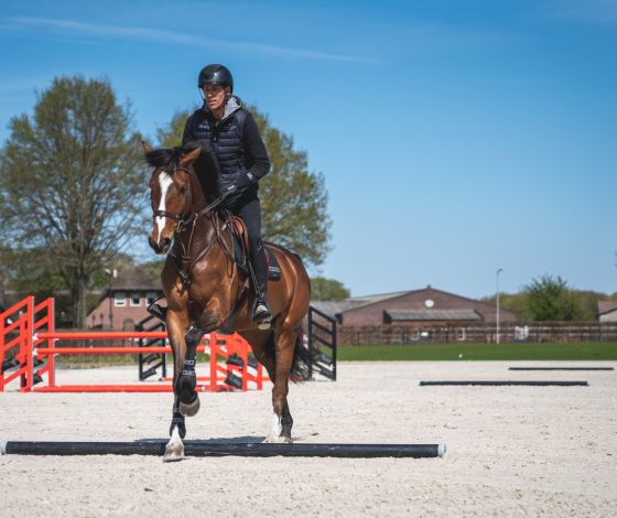 Henrik von Eckermann riding over 3 poles while training his horse