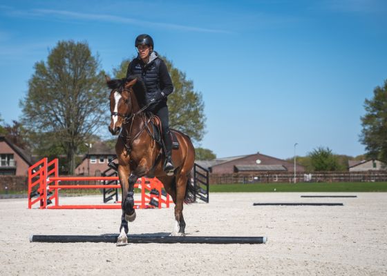 Henrik von Eckermann riding over 3 poles while training his horse